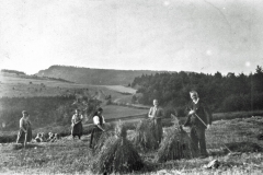 Fam.-Stunz-m.-Riga-Onkel-auf-dem-Feld-16