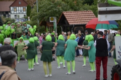 20180715-Breitau-Kirmesumzug71