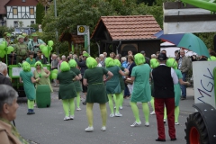 20180715-Breitau-Kirmesumzug72